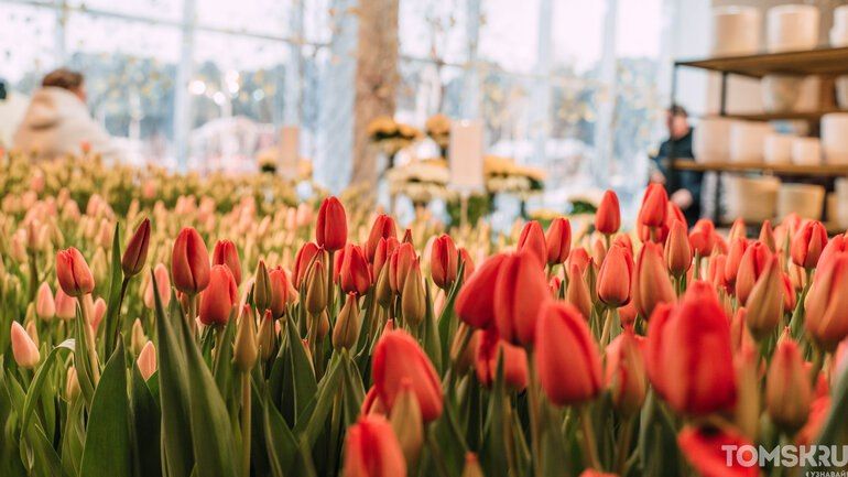 8 ����� ��� ������, � �������� ��� �� �������? ���� ��������� ��������