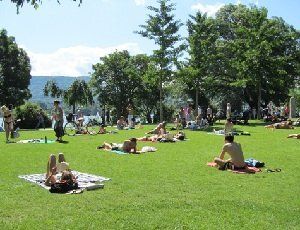 ��� ��������� �������� � ����� �� ��� ������