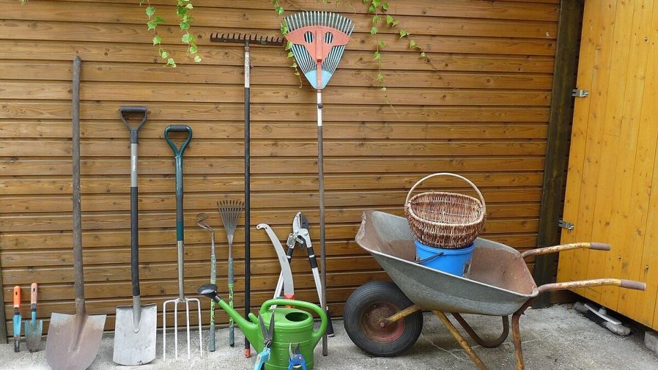 ��� ������� ��������� ����� ��� ������� �����