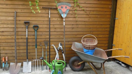 ��� ������� ��������� ����� ��� ������� �����