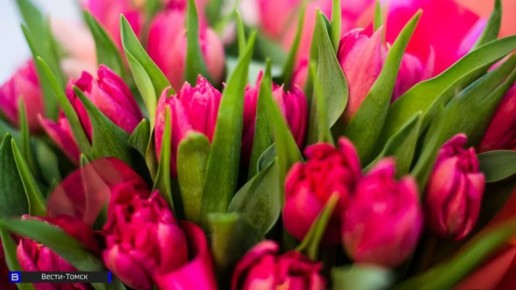 Не дайте красоте увянуть: как продлить жизнь праздничному букету