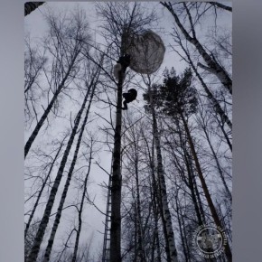 ���������� ������� �� ������ � ������� �������