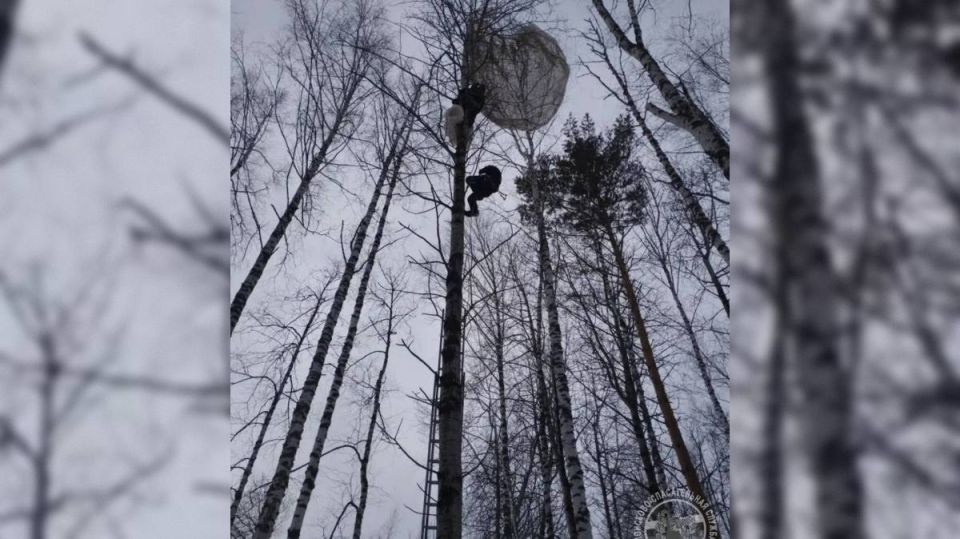 ������� ��������� ��������� ����������� �� ���������� �����