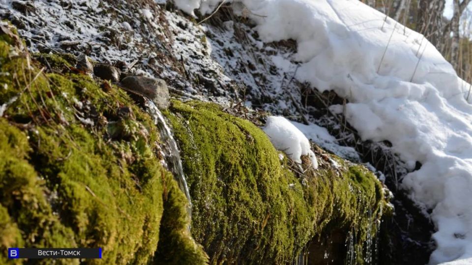 �� -18�� �� 0��: ����������� ������� ������ � ������ �� ������