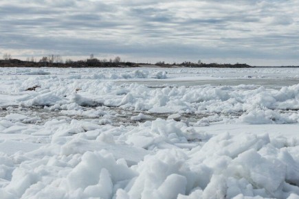 ������� �� ���� ��������� � �������� ������