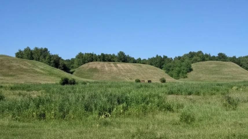 ����������� ����� ��� �������� 10 ���������� ������� ������� �������