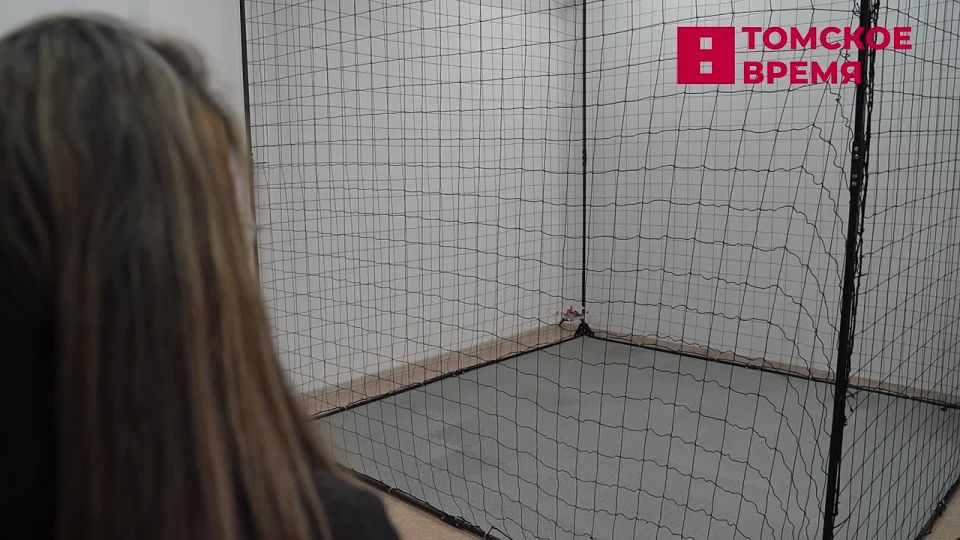 ����� ��� � �������� ����������� �������