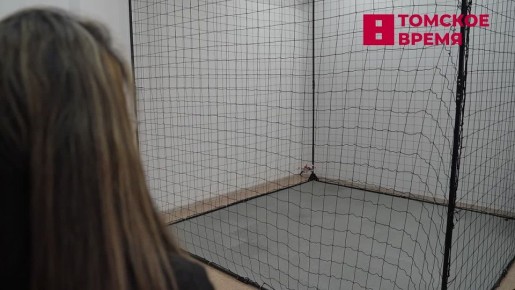 ����� ��� � �������� ����������� �������