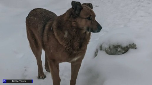 ��������� ������ ��������� ������� � �������� �������� ���� � ������� �������