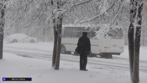 ��������� �������������� ��������� � ������� �������