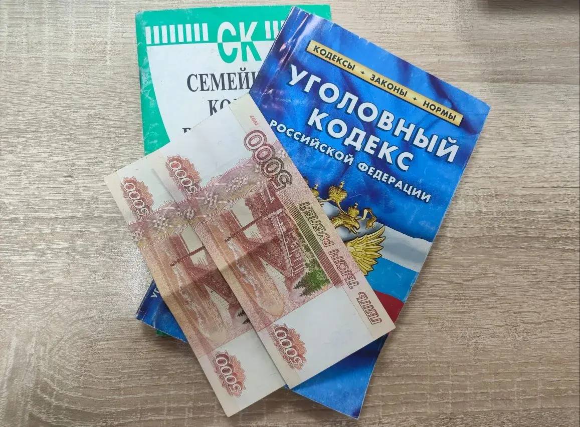 Злостная неплательщица алиментов из Первомайского района Томской области ближайшие 7 месяцев проведет в местах лишения свободы