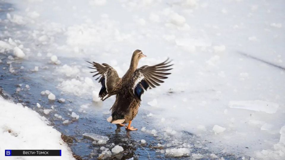 ������������ ����� �������� ����� �� �������� ���� � ������� �������