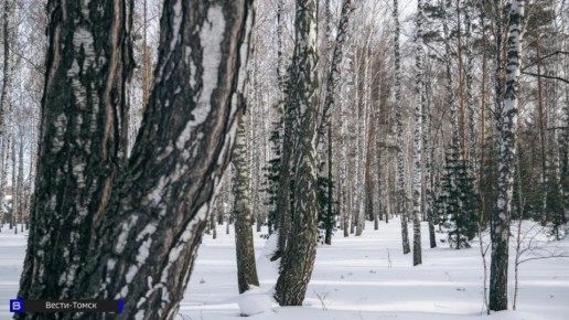 � ������� ������� �������� "�������" ��������