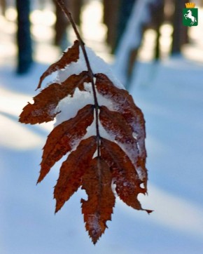 Хорошего окончания недели!