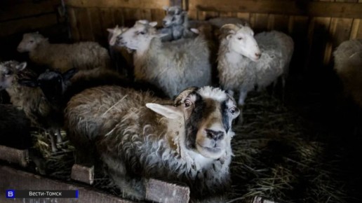 ����� ��������� �������� � ���� ������� ������� �������