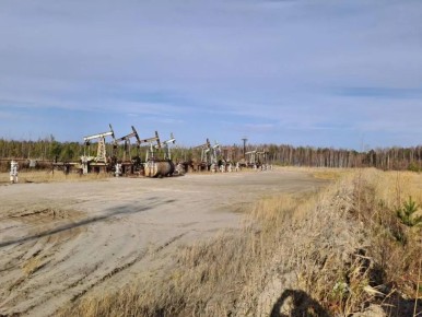 ����� ������������� ������� ����������� ��������������� ����������� �������� ����������� ������������� ���������� ��� 5 �������� ������ ����� � ����������� ��������������� �����