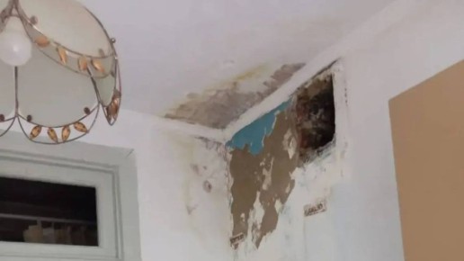 � ������ ��������� ������� ������ �� ����������� �������� ��������� �����������