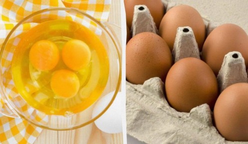 ����������� ��������� �����: 8 ���������, ������������� ����