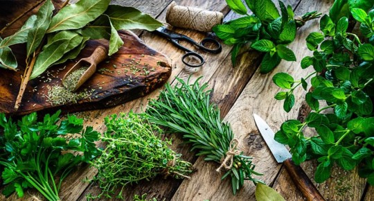Как правильно использовать пряные травы: избежание распространенных ошибок