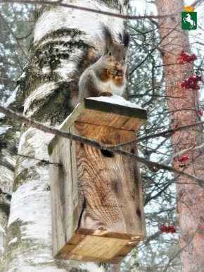 Хорошего окончания недели!