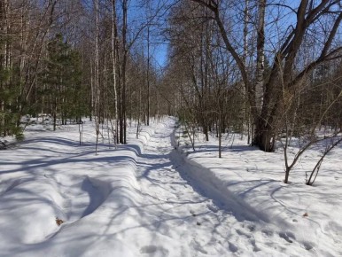 ������� ����������� ��������������� ����������� ����� ��� ������� ���������� �������� ���� � ��������� ����������� � ����������� ������������� ����������� � ������ ���������� �������