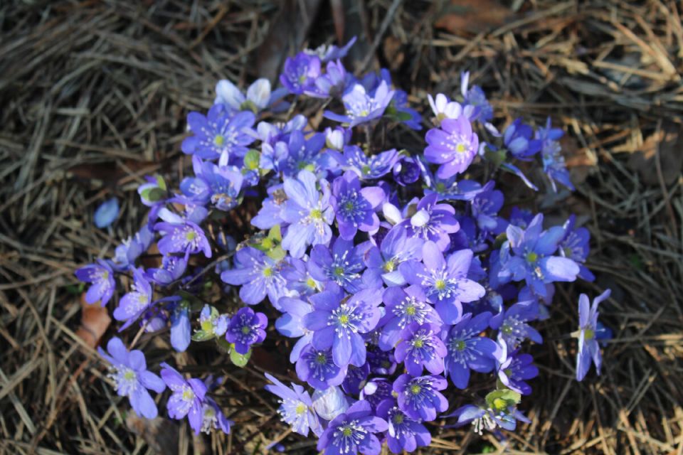 ���������� �����������: ��� ������ �� �� ������������