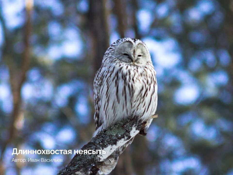 � �� �����, ��� � ������� ������� ������� ������ 300 ����� ����?