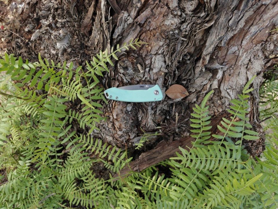 Тунец на завтрак: Необычный старт дня