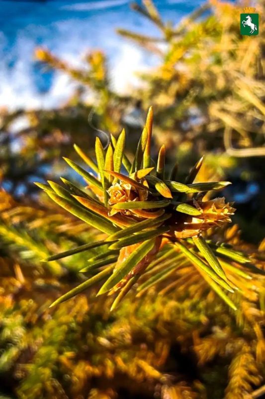 �������� ���� � ������������� ���!