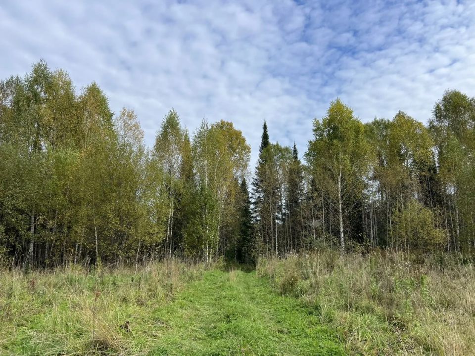 ����������� �������� ������ ����� ��� ���������� ����������� � ����������� ������������� ����� 30,5 �� ������ ������� ����� � ���� ������������