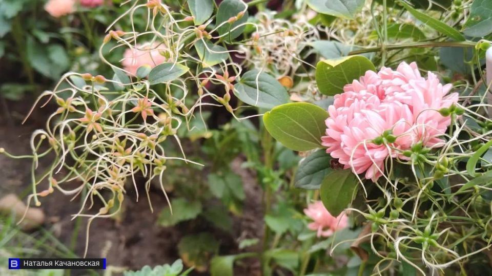 ���������� ������� �� ����: ������� ��� ��������