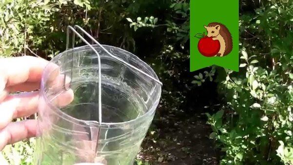 Умное решение для сбора ягод: как упростить процесс