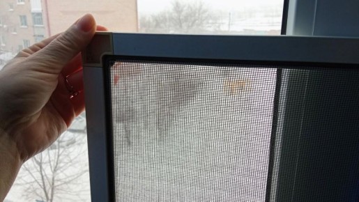 ������ ��������� ����� ����� ����� ��������� ��� �������?