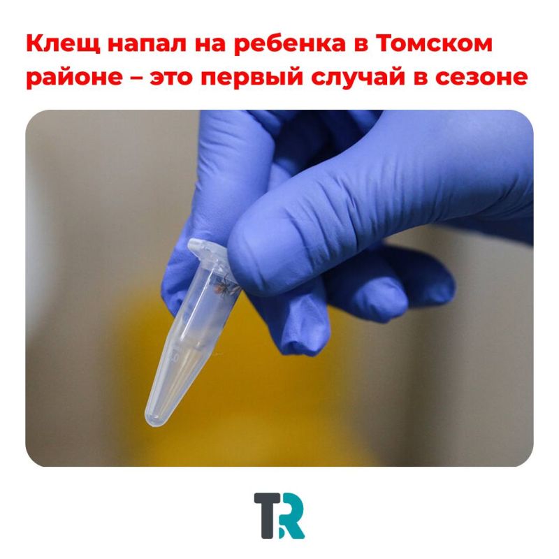 ����� ������: ������ ���� ����� �� �������