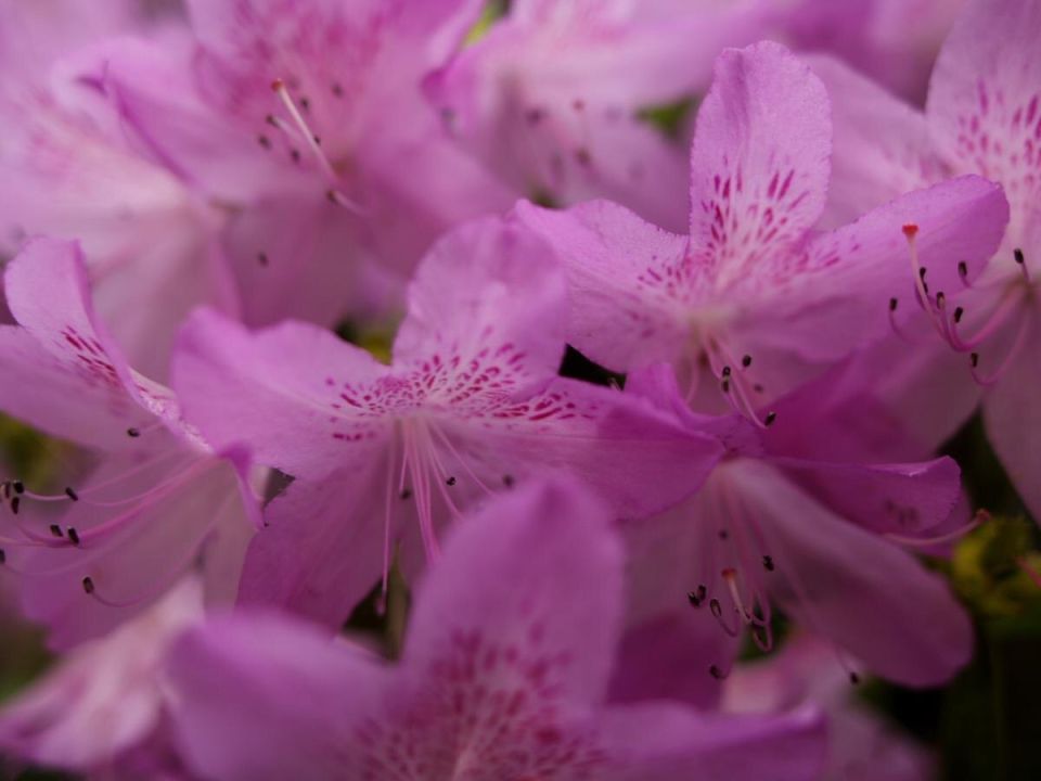 ��� ������� ������ ����� � ������ �������: ������� ���� � ���� ����