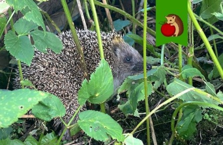 ������ ����� ����: ��� ������ ���� �������� ��� ������� ������