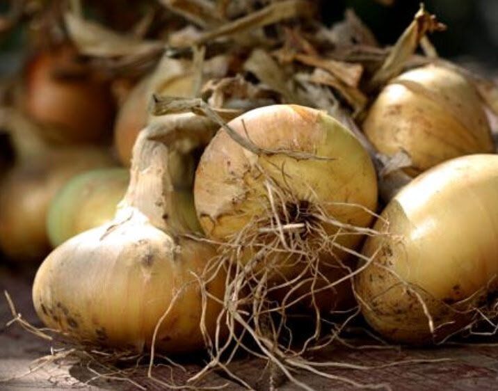 ������� �������� ����: ��������� � ����������� ������