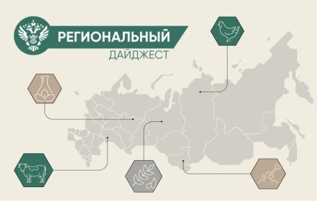 � ����� ���������� ������� ������������ � ������������ ����������������� � ��������