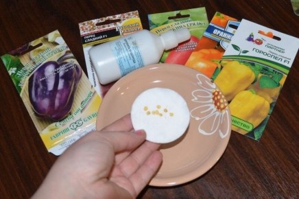 Ускоряем всходы перца: секреты обрезки семян