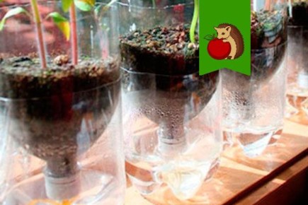 5 ������������ �������������� �� ����������� ������� ��� ����: ����� 2