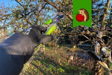 ������ ��� ������� ������ ������