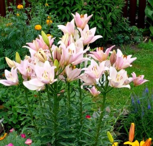 ����� '������': ��� ������ ���� ������� ����