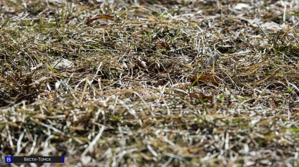 ������ ������ ������� ����� ����� ��������������� � ������� �������