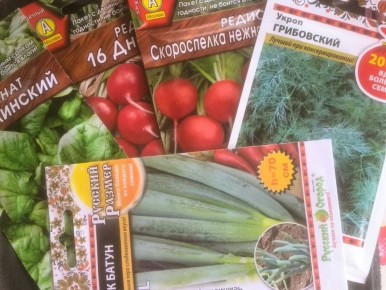 Раннее искусство: как вырастить зелень в парнике