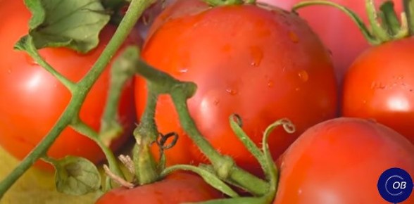 ���� � ����: �������� ������ � �������� ��� ��������� ������