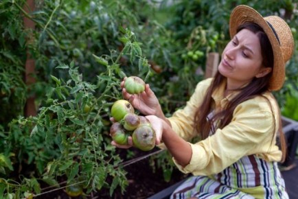 ��������� ����� ������ ����: ��� �������� ��������������� ����������