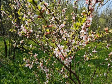 ��������� ����������: ��� ������ ��� � ������� �� �������