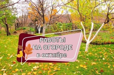 ������� �� �������: ���, ��� ����� ����� ��� ���������� � ����