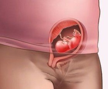 Тайны первого триместра: Как меняется женский организм во время беременности