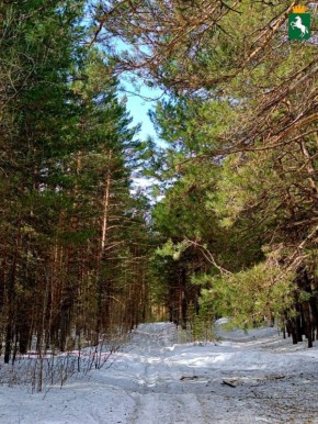 Хорошего дня!. Ожидается пасмурная погода, возможен дождь, +6°